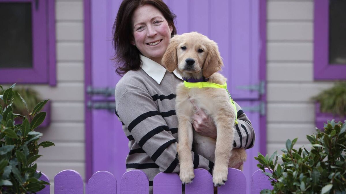 Ten Cork organisations awarded donations from Ireland Funds