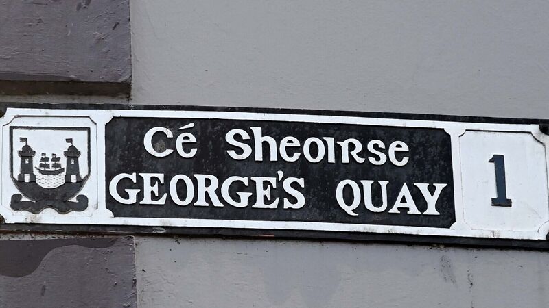 Judge imposes fine on woman who was drunk and swimming in river at Cork city quay