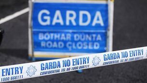 Young boy and woman (60) die in house fire in Co Offaly Young boy and woman (60) die in house fire in Co Offaly