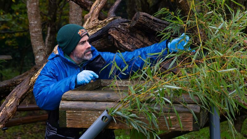 Cork's Fota welcomes €700k allocation as costs mount up due to bird flu closure