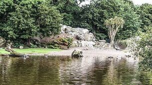 Fota Wildlife Park reopening date set after avian flu closure