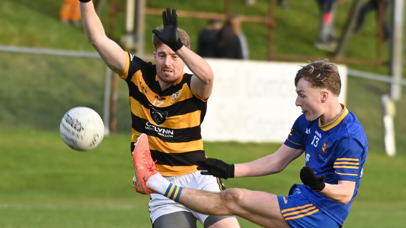 Cork football fans left with sour taste after Kerry clean sweep in Munster finals