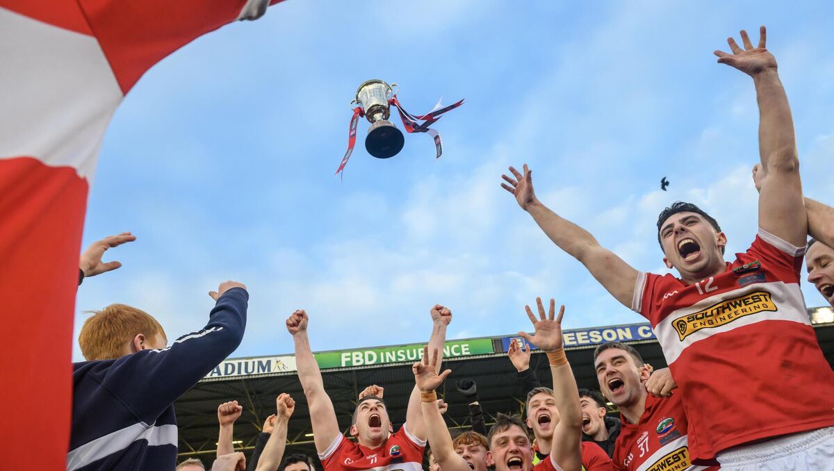 Picture: Dan Linehan