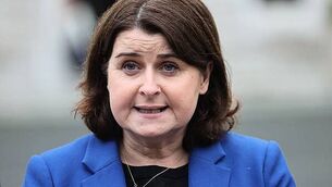 Stricter rules for puppy farms is ‘something people want action on’, Dáil hears Stricter rules for puppy farms is ‘something people want action on’, Dáil hears