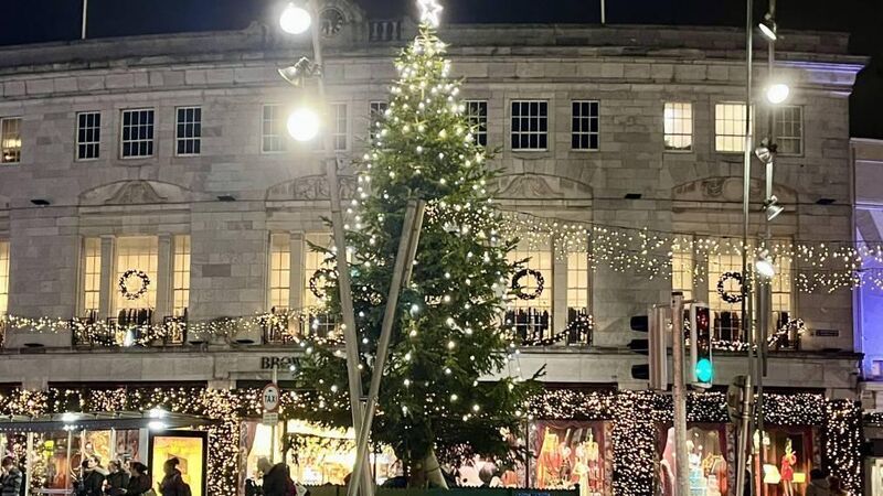 Cork Views: What makes Rotary Tree of Remembrance so special