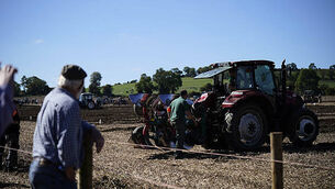 77490009 National Ploughing Championships 2024