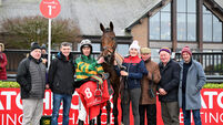 Jimmy Mangan, Brian Hayes and Darragh O'Keeffe deliver at Punchestown
