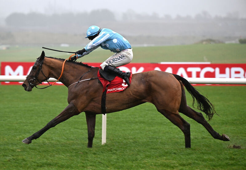 Echoing Silence and Darragh O'Keeffe win for trainer Henry de Bromhead. Picture: Healy Racing Echoing Silence and Darragh O'Keeffe win for trainer Henry de Bromhead. Picture: Healy Racing