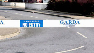 Garda Crime Scene Woman (70s) dies in car crash in Limerick