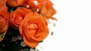 'Regrettable' that policy on removing roadside memorials emerges near Christmas, TD says 'Regrettable' that policy on removing roadside memorials emerges near Christmas, TD says