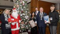 Cork hotel’s special tree to help SVP give kids a magical Christmas