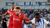 Brighton & Hove Albion FC v Liverpool FC - Premier League