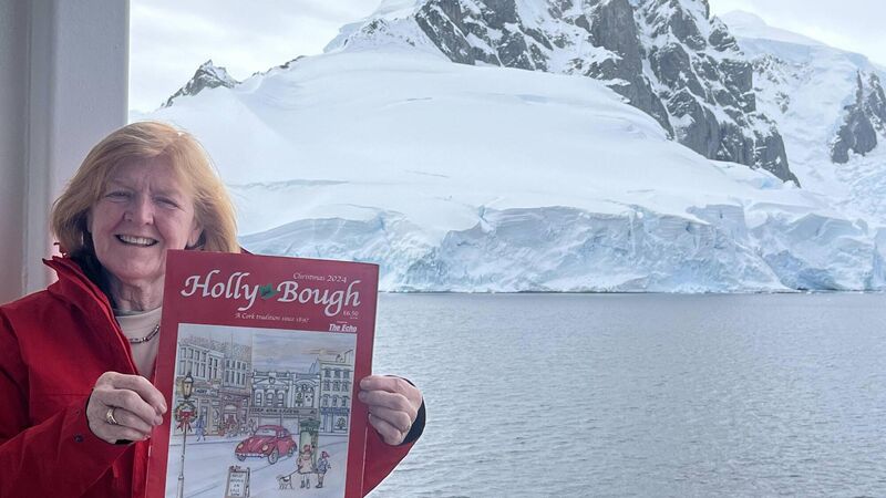 Pictures: Holly Bough challenge continues....