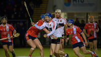 Cork derby meeting set to open Fitzgibbon Cup with a bang