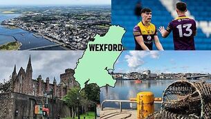 County quiz series: What fruit is Co Wexford famous for producing? County quiz series: What fruit is Co Wexford famous for producing?