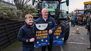 IFA president and son, 11, travelling to Brussels by tractor as part of protest IFA president and son, 11, travelling to Brussels by tractor as part of protest