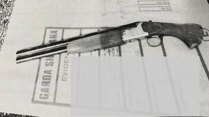 Limerick brothers jailed for 14 years for gun attack on family’s home