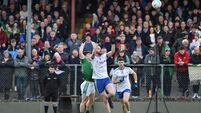 Renewed call for home fixtures in county championships