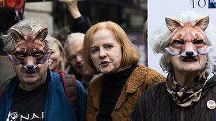 Bill to ban fox hunting defeated in Dáil Bill to ban fox hunting defeated in Dáil