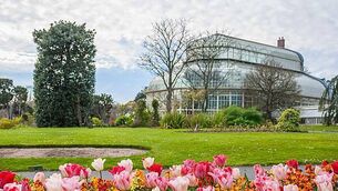 ‘It’s like Noah’s Ark’: One man is banking every native seed in Ireland ‘It’s like Noah’s Ark’: One man is banking every native seed in Ireland