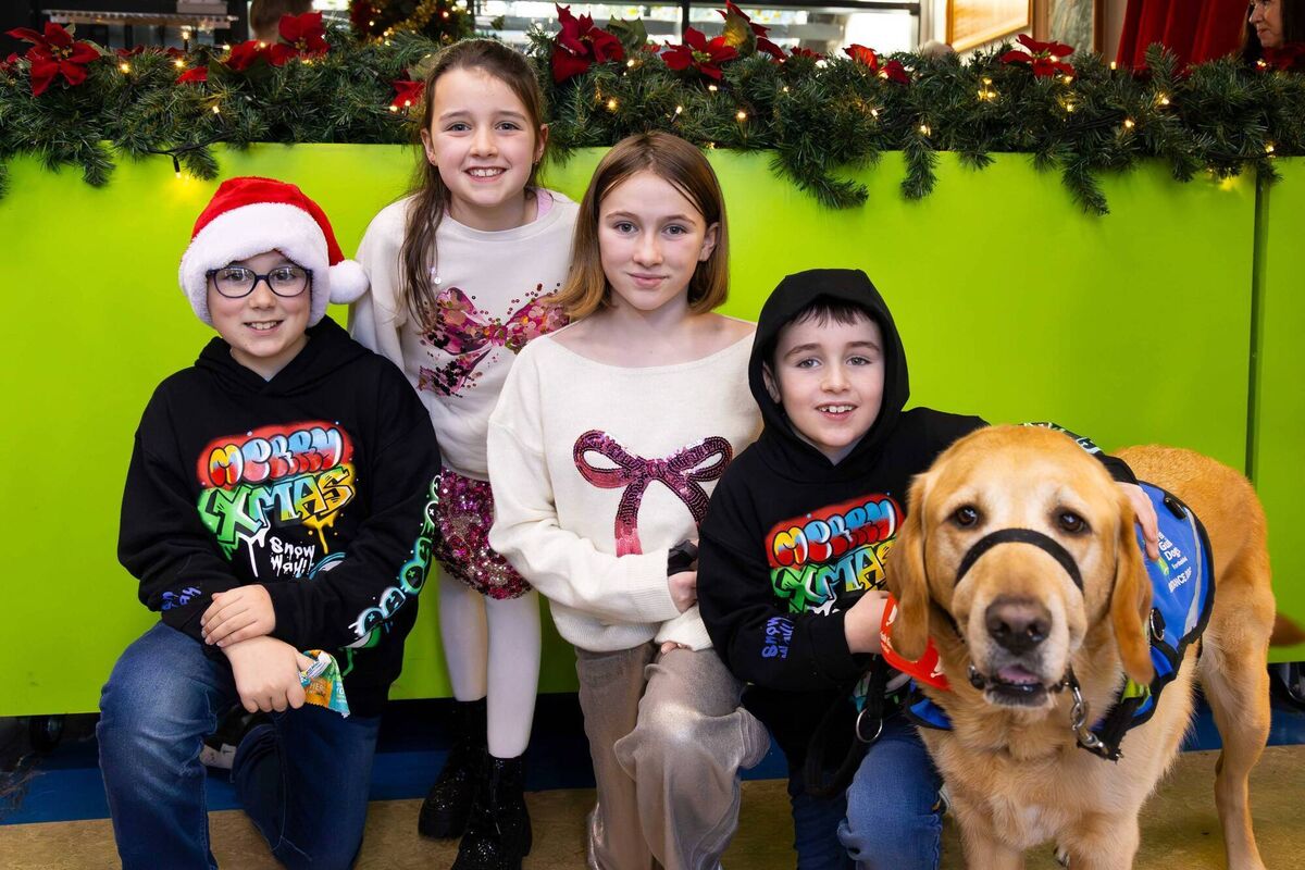 Siblings, Sean, Grace, Ellie, &amp; Conor McCabe, pictured with Yarrow the Service Dog, as a team of Apple volunteers from Apple Cork, spent the day at the Irish Guide Dogs for the Blind HQ on Model Farm Road, helping with preparations for Christmas activities, meeting families and helping Santa and his elves in the grotto. Picture: Michael O'Sullivan / OSM PHOTO