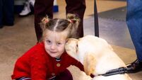 Apple staff’s enduring support for Cork-based charity, Irish Guide Dogs for the Blind