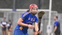 St Finbarr's dominate Reardens Club Camogie All-Star 15 but six clubs represented 