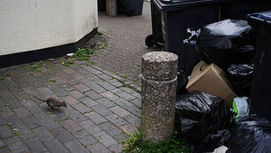 Review of the Year 2025