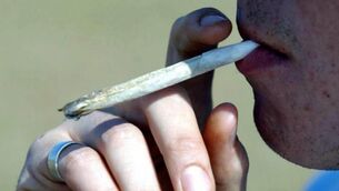<p>The findings of the latest Growing Up in Ireland survey show that by age 17 to 18, 30% of students have tried cannabis.</p>