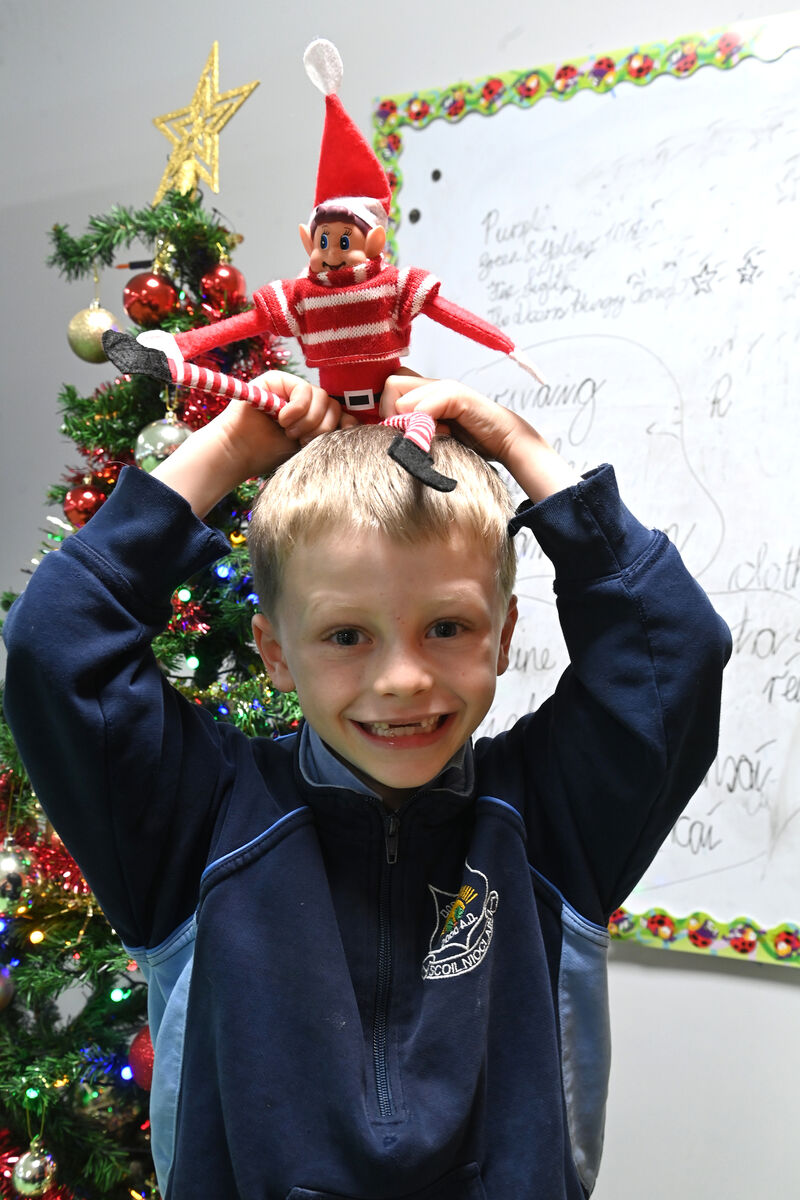 Killian Lehane (7) of Scoil Niocláis. Picture: Larry Cummins