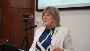 <p>Minister for mental health, Mary Butler, has reminded anyone struggling with their mental health that support is available this Christmas.</p>