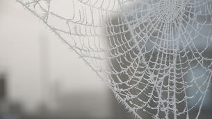 <p>Met Éireann has predicted spells of continued winter sunshine across Cork over the coming days with below freezing conditions expected overnight. Picture: Karlis Dzjamko</p>