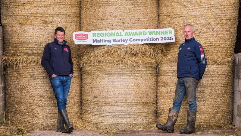 Start spreading the news: Cork tillage farmers win Dairygold awards
