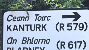 <p>Mr O’Shea added that the proposed development in Kanturk forms part of a wider housing delivery programme by Cork County Council under the Government’s Housing for All strategy. Picture: Denis Minihane.</p> <p>Mr O’Shea added that the proposed development in Kanturk forms part of a wider housing delivery programme by Cork County Council under the Government’s Housing for All strategy. Picture: Denis Minihane.</p>