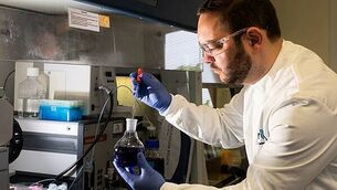 State of the art research into ‘mini brains’ at University of Galway