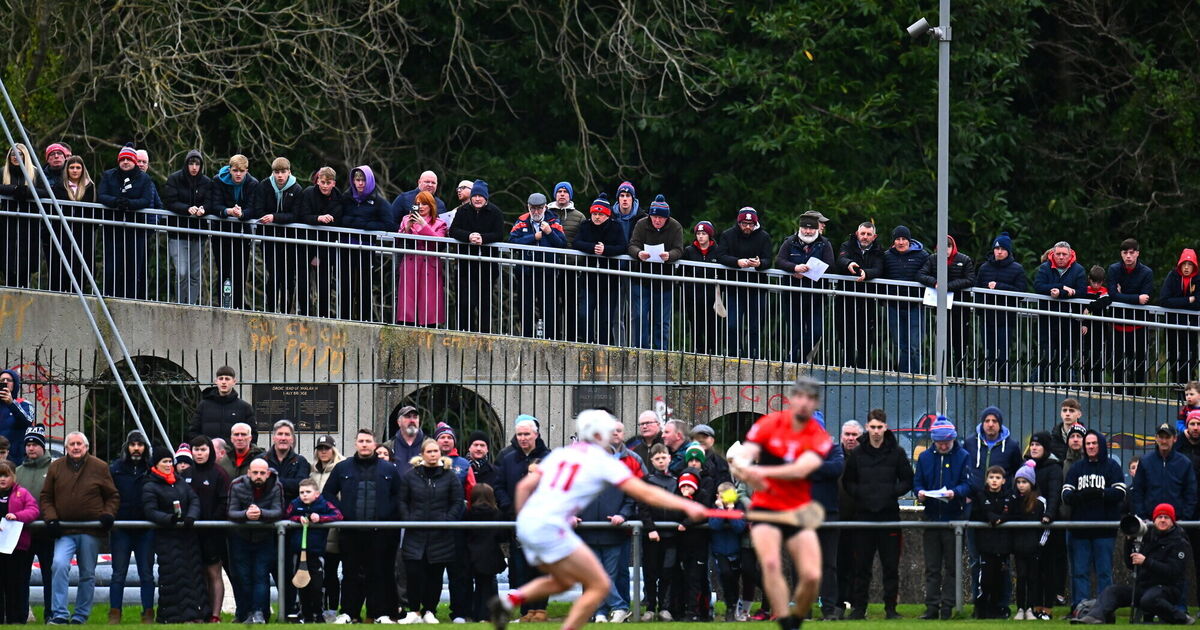 Exciting finish as college side edge Ben O'Connor's first outing as Cork manager 