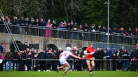 UCC v Cork - Canon O'Brien Cup