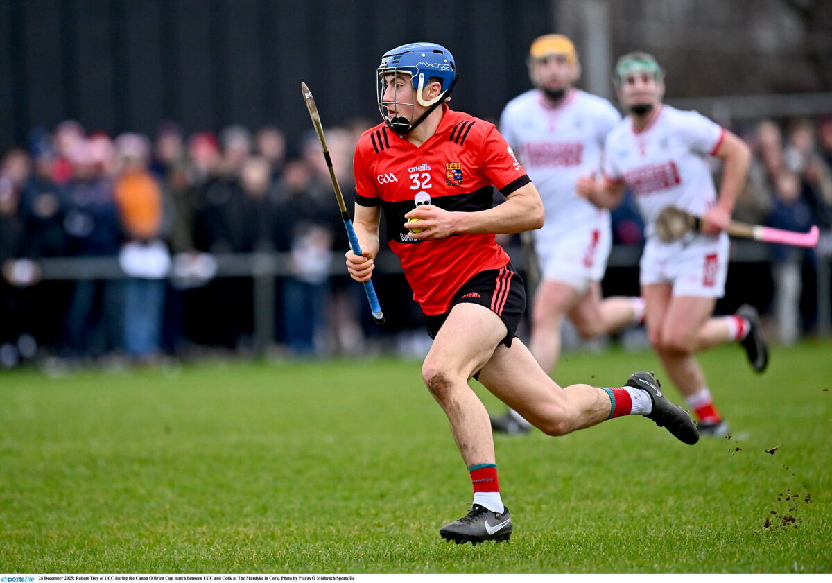Newtown's Robert Troy had a fine game for UCC. Picture: Piaras Ó Mídheach/Sportsfile