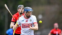 UCC v Cork - Canon O'Brien Cup
