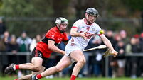 UCC v Cork - Canon O'Brien Cup