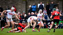 UCC v Cork - Canon O'Brien Cup