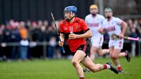 UCC v Cork - Canon O'Brien Cup