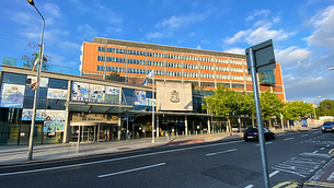 Woman (50s) remains in serious condition following incident with pit bull in Co Carlow