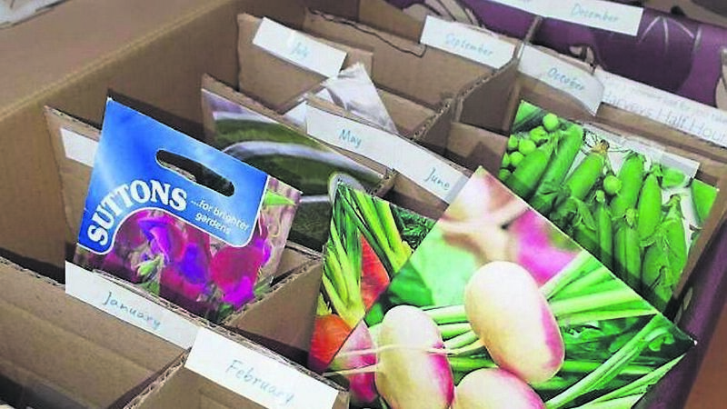 In the garden: 9 great tips for gardeners for the year ahead 