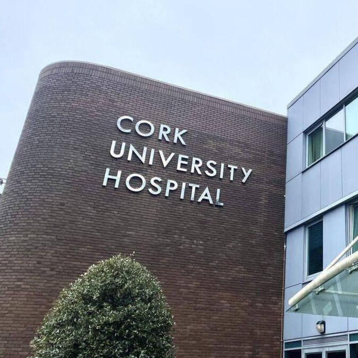 echolive.ie - John Dolan - Unique look behind the scenes at Cork University Hospital