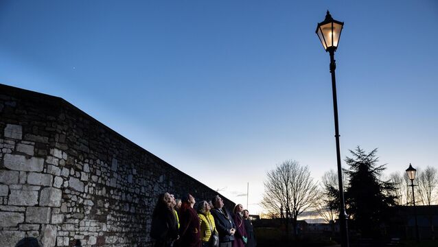 <p>Former lord mayor of Cork, Cllr Dan Boyle with members of the Cork Jewish Community in Shalom Park, Cork at the artwork Evening Echo on January 1, 2025. Evening Echo, a public artwork by New Zealand artist Maddie Leach sited at Shalom Park, consists of a sequence of custom-built lamps, and is activated on an annual cycle.	<span class="contextmenu emphasis CaptionCredit"> Picture: Darragh Kane</span>
            </p>