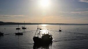 New unit to investigate marine accidents established New unit to investigate marine accidents established