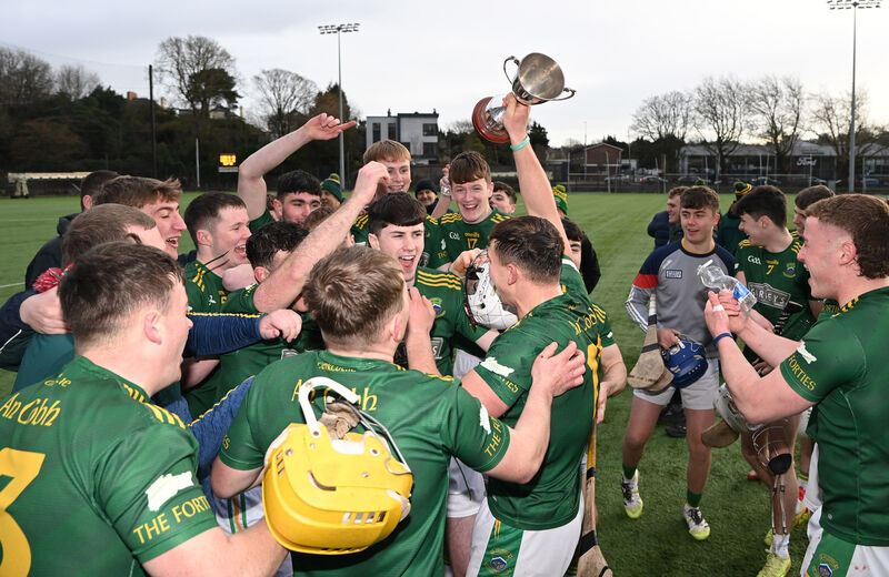Cobh captain Timmy Wilk and players celebrate after defeating Donoughmore. Picture: Eddie O'Hare