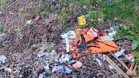 Mixed bag of results for Cork in Irish Business Against Litter league