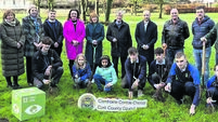 County council announces tree planting initiative for Cork schools